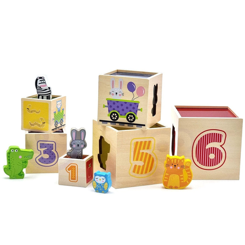 VIGA puidust klotsid ja sorteerija Montessori - Fairy Kitten Mänguasjapood